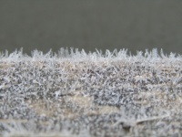Frost On Wood