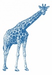 Giraffe Vintage Art Illustration