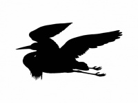 Heron Flying Silhouette Clipart