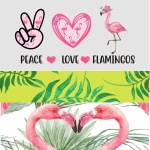 Pace Love Flamingos