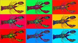 Colorful Grid Of Lobsters