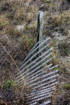 Weathered Fence