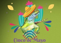 Cinco De Mayo Iguana
