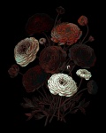 Digital Oil Painted Flowers