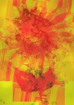 Abstract Sunflower Digital Image