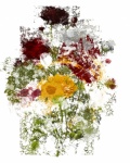 Digital Art Floral Oil Painting