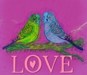 Love Parakeets Digital Art