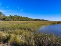 Georgia Wetlands
