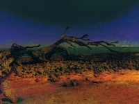 Driftwood Fantasy Digital Art