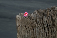 Pink Red Painted Heart Stone