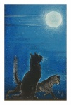 Cats Full Moon Illustration Art