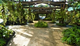 KL Botanical Gardens 3