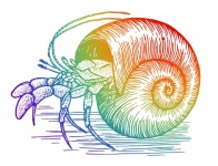 Crab Shell Vintage Illustration