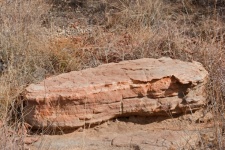 Large Slab Of Sandstone Rock