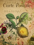 Lemon Vintage Floral Postcard