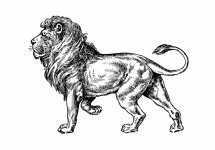 Lion Art Illustration Clipart