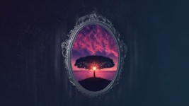 Mirror, Reflection, Sunset, Tree