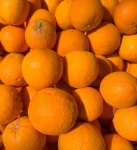 Oranges Background