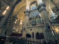 Organ In A Cathedral