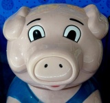 Ornamental Pig Face
