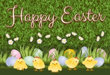 Easter Spring Card Greetings