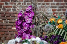 Purple Flowers, Decorative