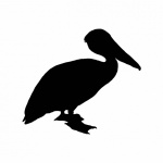Pelican Silhouette Clipart