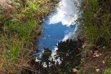 Reflection Of Blue Sky In Canal