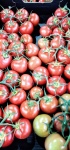 Ripe Truss Tomatos