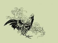 Rooster Vintage Art Illustration