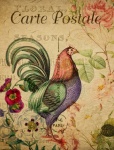 Rooster Vintage Floral Postcard