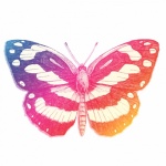 Butterfly Clipart Art Colorful
