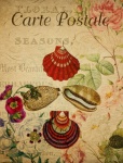 Shells Vintage Floral Postcard