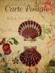 Shells Vintage Floral Postcard