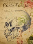 Skull Vintage Floral Postcard