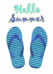 Summer Flip Flops Background