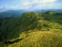 Taiwan Mountain Scenes 105