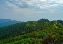 Taiwan Mountain Scenes 119