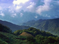 Taiwan Mountain Scenes 93
