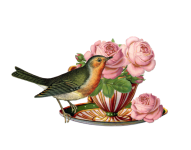 Teacup, Bird, Roses, Vintage