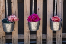 Three Flower Buckets