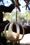 Tree Decoration Suspended From Tree