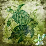 Turtle Swimming Background