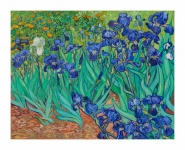 Van Gogh Irises Flowers
