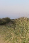 View Across Sand Dune