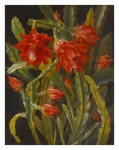 Vintage Floral Epiphyll Illustration