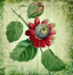 Vintage Floral Art Poster