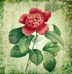 Vintage Floral Art Poster