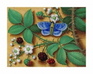 Vintage Blackberries Butterfly