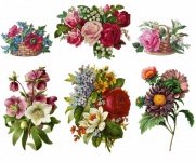 Vintage Clipart Flowers Bouquet